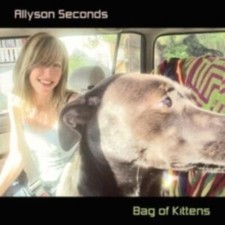 Allyson seconds bag of - allyson,
