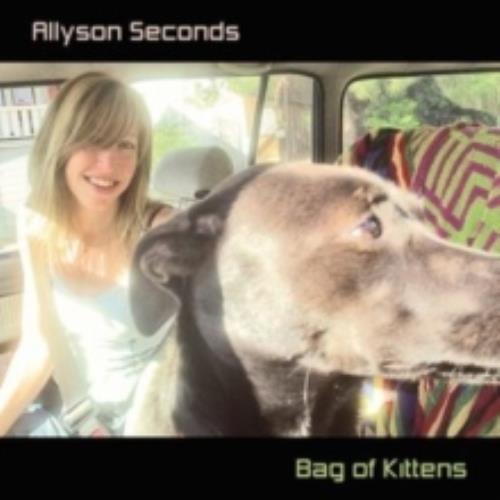 Allyson seconds bag of - allyson,