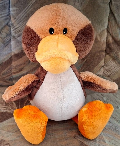 Nici ente duck - nici, stockente