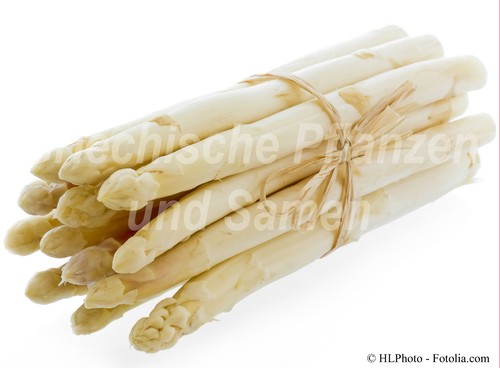 Spargel weiß 20 samen - 🔥,