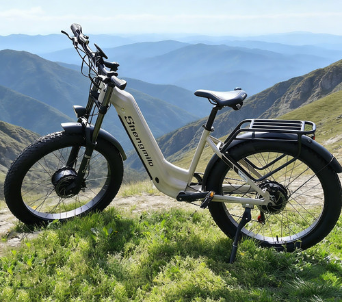 2000w 48v elektrofahrrad - 2000w, 26