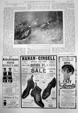 Alte mongolische Fasane F Southgate Hanan Gingell amerikanische Schuhe 1910 20.