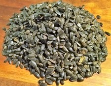 Schwarze Sonnenblumenkerne in