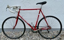 Gazelle Champion Mondial