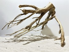 Talawa Wurzel XXL ähnlich