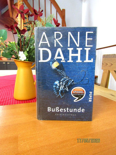 Arne dahl bußestunde - ,