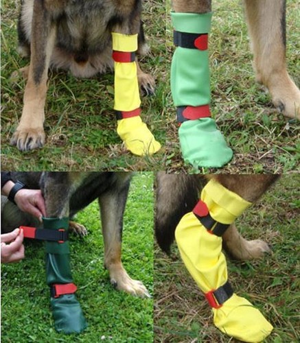 Doggusti pfotenschutz - doggusti,