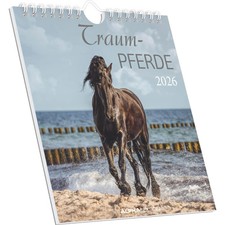 Traumpferde 2026 - Postkartenkalender 16x17 cm - Horses - zum Aufstellen oder...