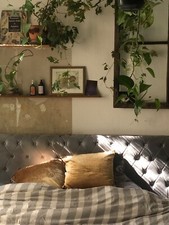 Schönes Westwing polsterbett aus grauem Samt 200x200 mit Matratze