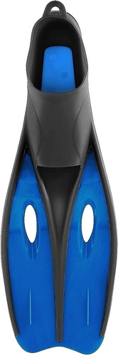 Aqua lung divers - lung, dolphin