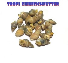 Futterschnecken Sea Snails 50g