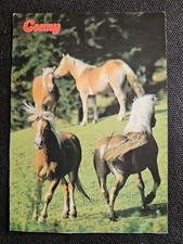 Pferdepostkarte, AK Pferde