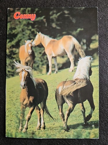 Pferdepostkarte pferde - pferdepostkarte,,