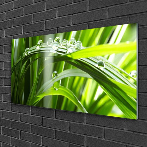 Acrylglasbilder 100x50