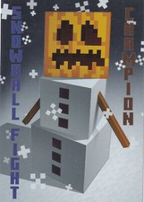 SNOWBALL FIGHT CHAMPION