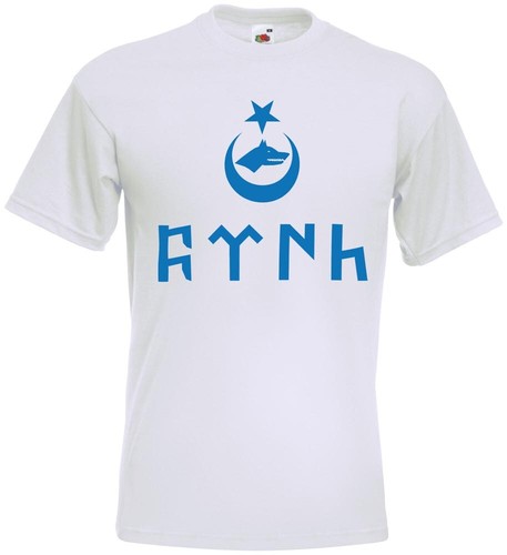 Türk göktürk ayyildiz - ayyildiz, kurt