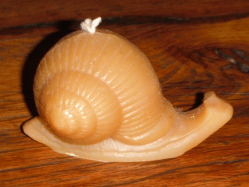 Schnecke bienenwachskerze - schnecke,