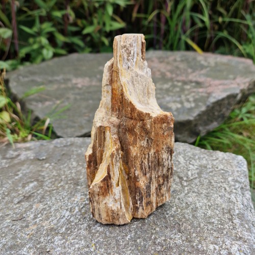Budawi versteinertes holz - budawi®,