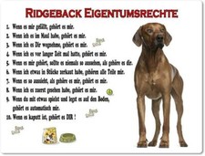 Warnschild - 20x30cm -