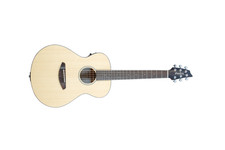 Breedlove Passport Travel 3/4