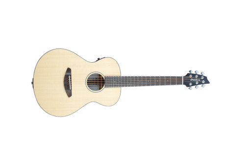 Breedlove passport travel - travel, 3/4