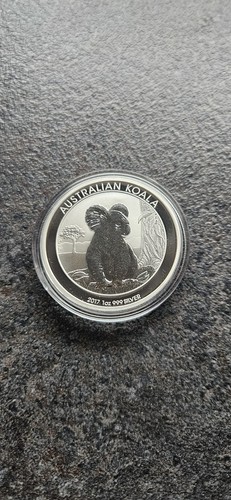 Australian koala 2017 - australian,