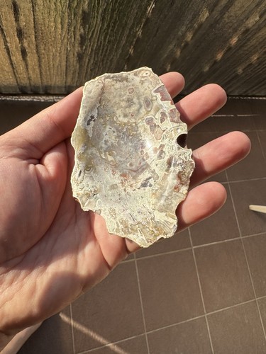 Ozeanachat jaspis ozean schale - ozeanachat,