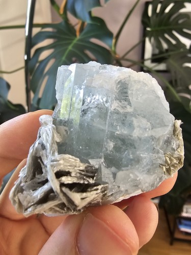 Aquamarin mit muskovit - aquamarin,