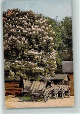 12101916 - Bauernwagen ohne