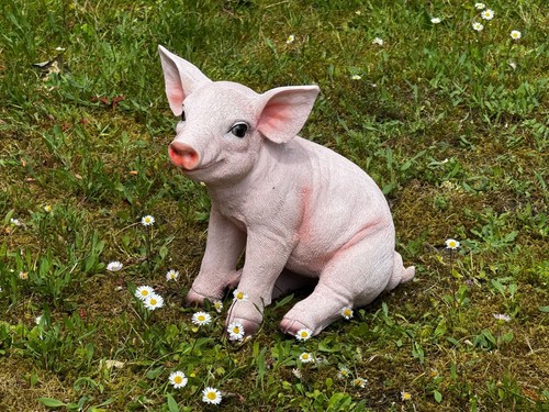 Gartenfigur schwein ferkel - schwein,