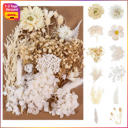Getrocknete blumen - getrocknete,