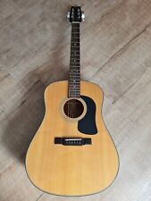 Washburn Westerngitarre D 12 N