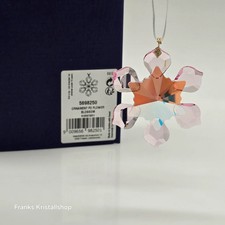 SWAROVSKI Weihnachtsstern