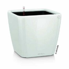 Lechuza QUADRO LS 43