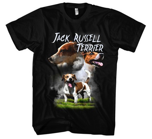 Jack russell terrier männer - jack,
