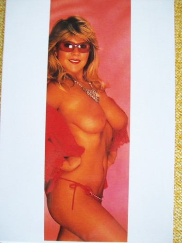 Samantha fox 13 x - ca., 18