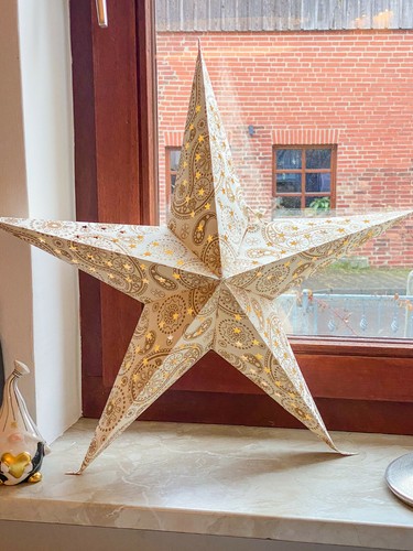 Papierstern weihnachtsstern - papierstern, 60