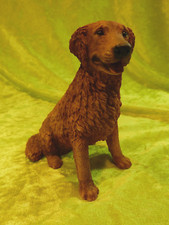 Golden Retriever Castagna