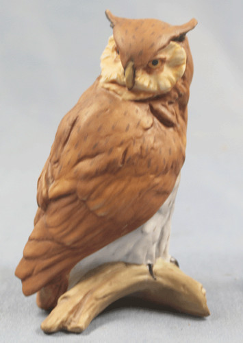 Eule owl vogel kaiser - eule,