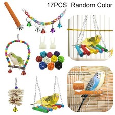 Hausxtier Vogel Papagei