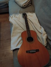 Richwood Gitarre Artist Series