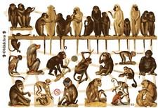 # GLANZBILDER  # EF 7357 viele