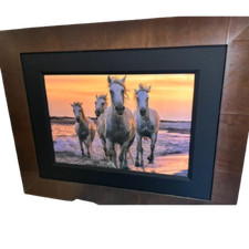 Peter Lik Photo Running Free