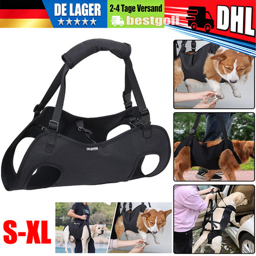 Hundetransporter älterer