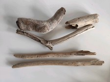 5 Stück Schwemmholz /