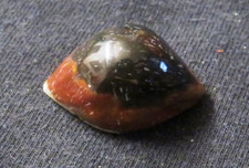 ShivaAuge Achat Augenachat von