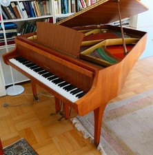 kleiner Trapez-Flügel