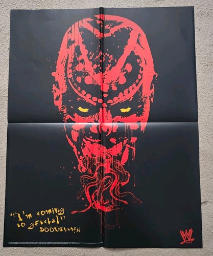 Wwe wrestling doppel poster - doppel,
