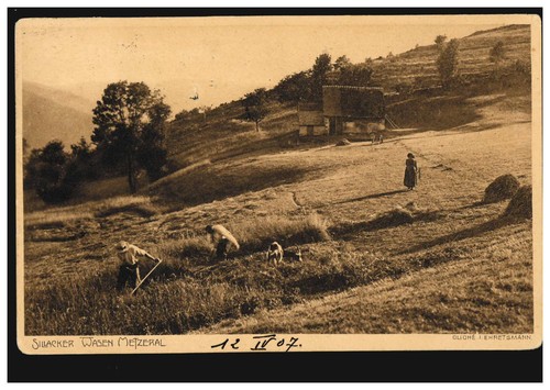 Sillacker wasen bei - metzeral,