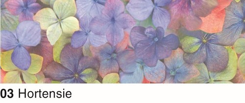 Blumenmotive